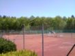 DSC00442.jpg